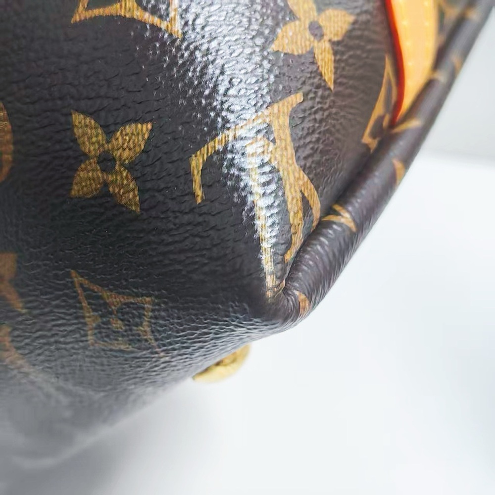 Louis Vuitton Monogram Canvas Carryall PM Bag - Picture 10 of 12